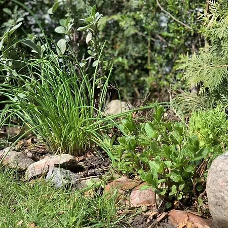 With 2 Bedrooms Holiday home